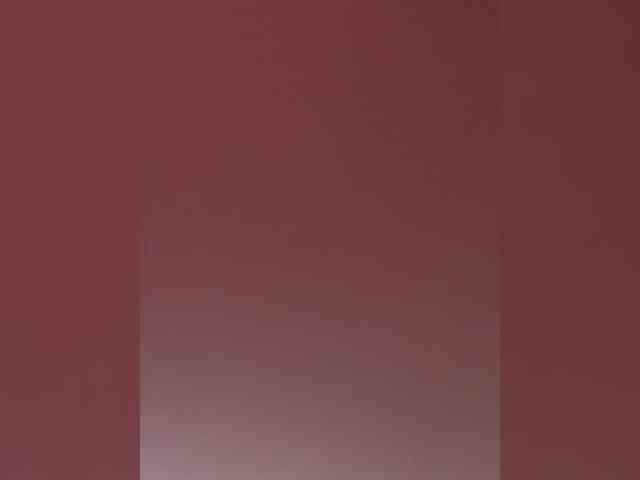 SallyeLeins SallyeLeins