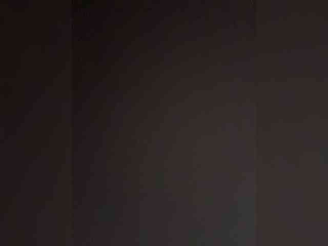 SallyeLeins SallyeLeins