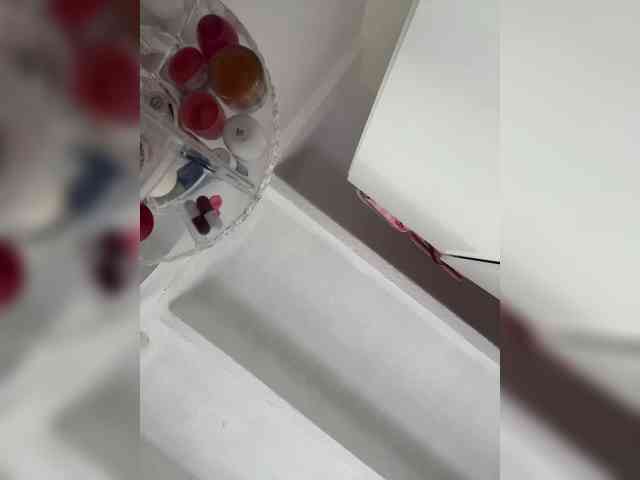 SallyeLeins webcam