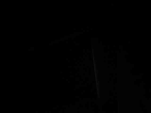 SallyeLeins SallyeLeins