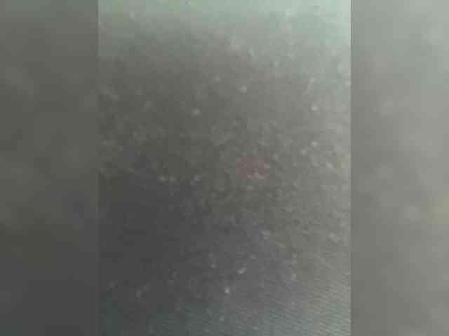 SallyeLeins webcam