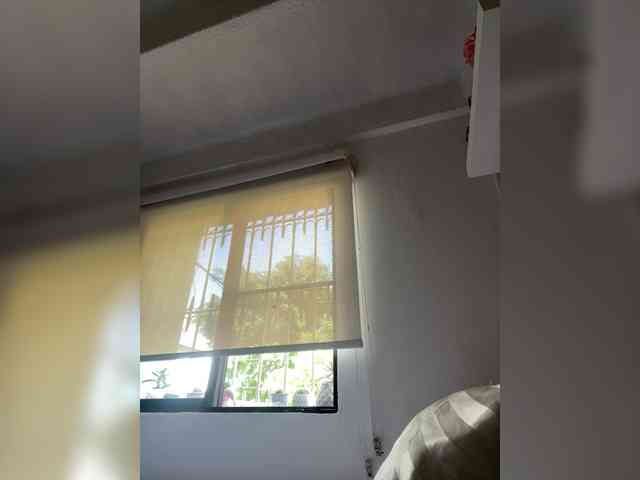 SallyeLeins SallyeLeins