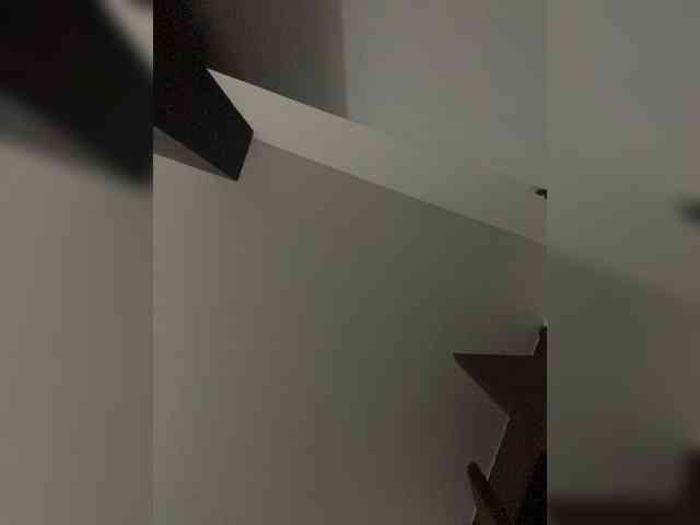 SallyeLeins SallyeLeins