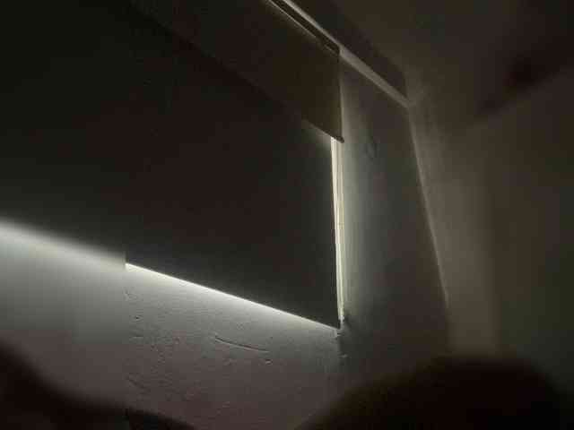 SallyeLeins SallyeLeins