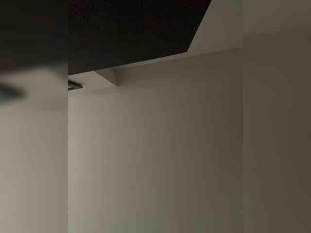 SallyeLeins SallyeLeins