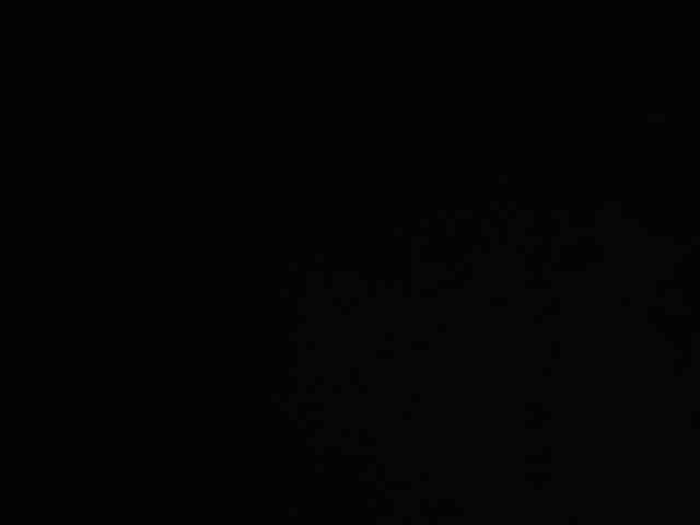 SallyeLeins SallyeLeins