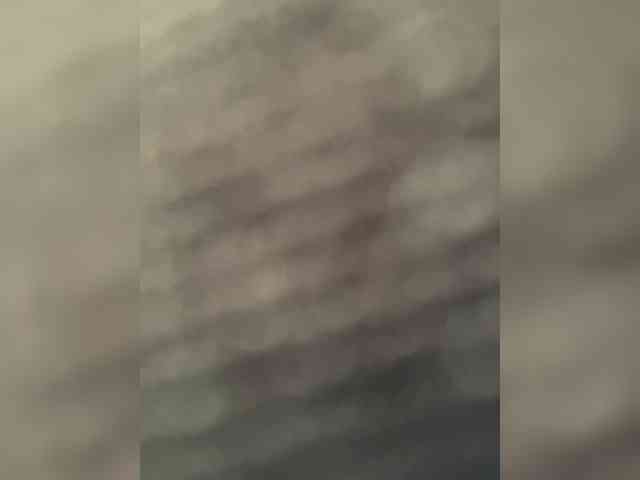 SallyeLeins SallyeLeins