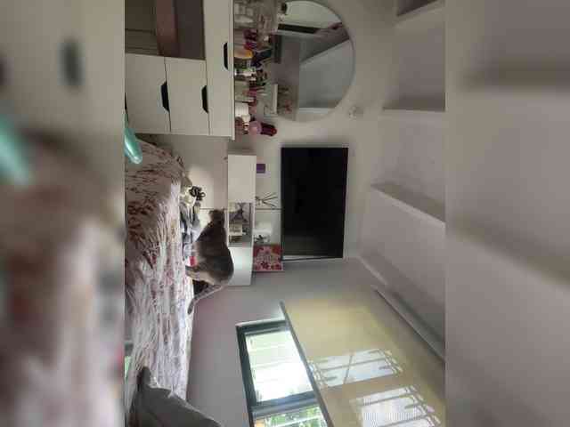 SallyeLeins webcam