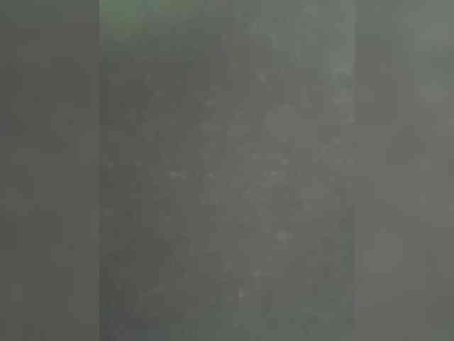 Модель: SallyeLeins