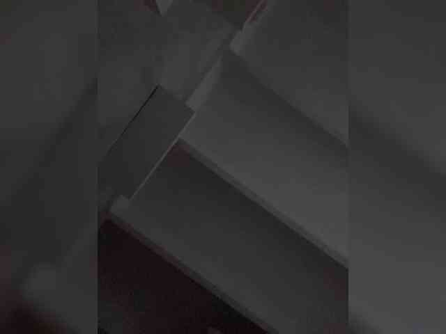 Модель: SallyeLeins