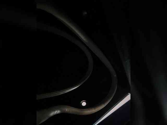 SallyeLeins webcam
