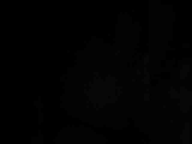 SallyeLeins SallyeLeins