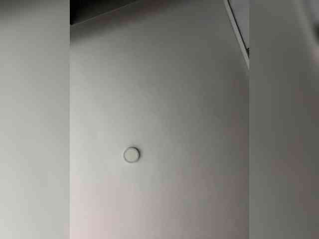 SallyeLeins Live Webcam on BongaCams