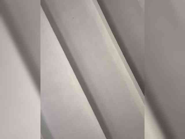 SallyeLeins webcam
