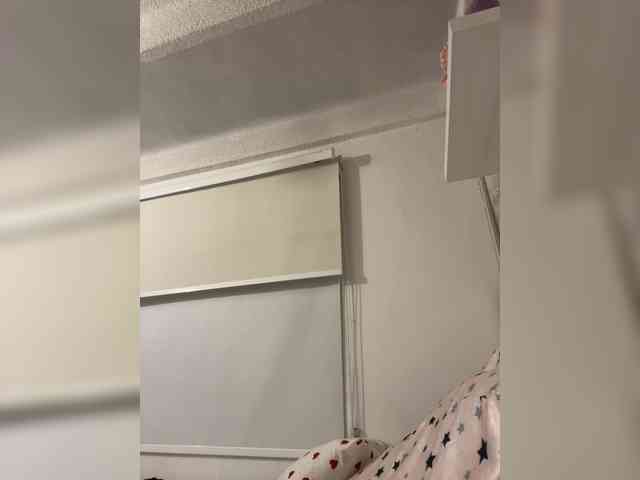 SallyeLeins SallyeLeins