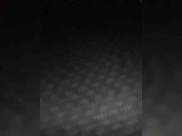 SallyeLeins webcam