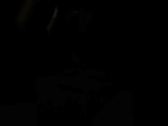 SallyeLeins's webcam live show