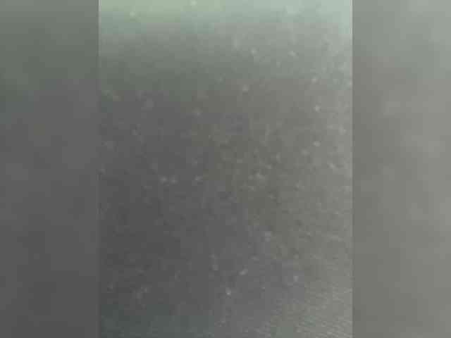 SallyeLeins webcam