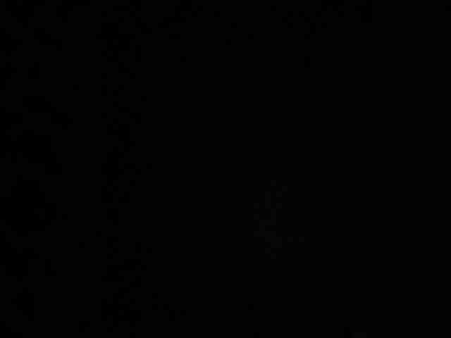 SallyeLeins SallyeLeins