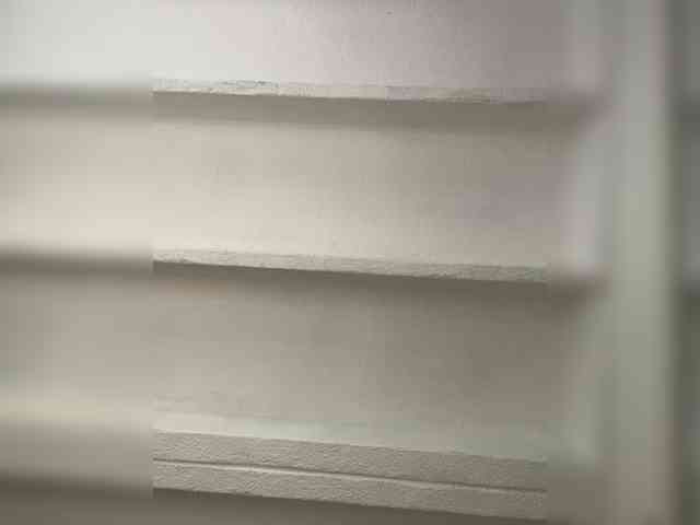 SallyeLeins SallyeLeins