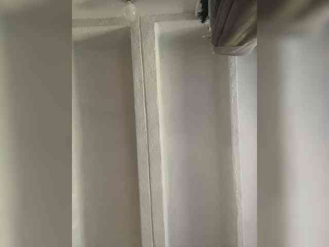 SallyeLeins SallyeLeins