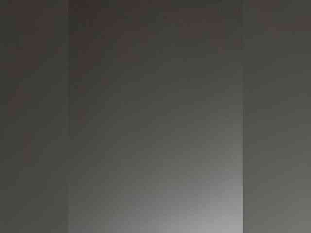 SallyeLeins SallyeLeins