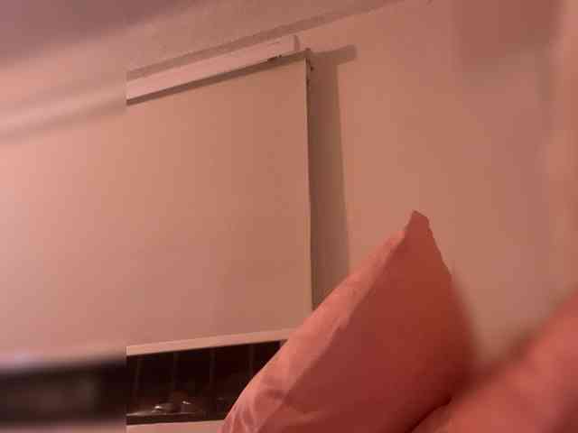 SallyeLeins webcam