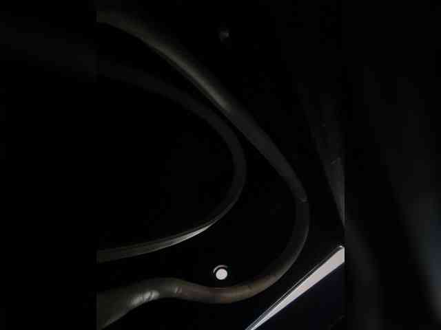 SallyeLeins webcam