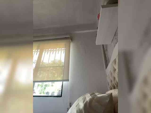 SallyeLeins SallyeLeins