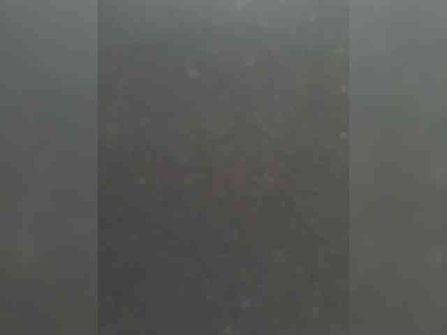 SallyeLeins webcam