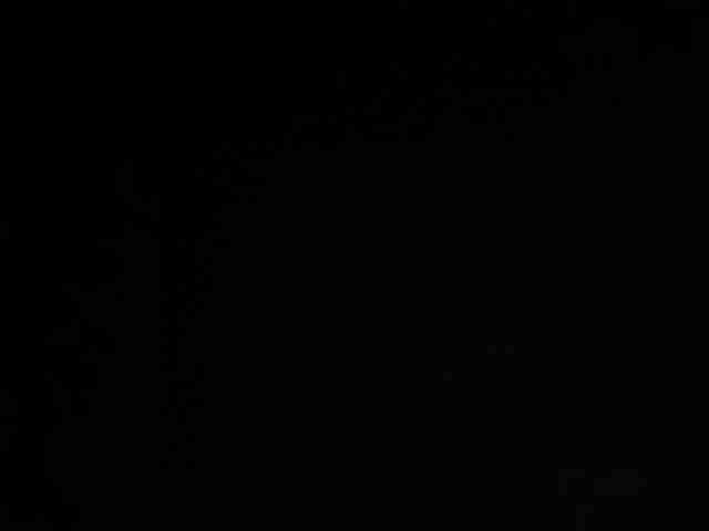 SallyeLeins SallyeLeins