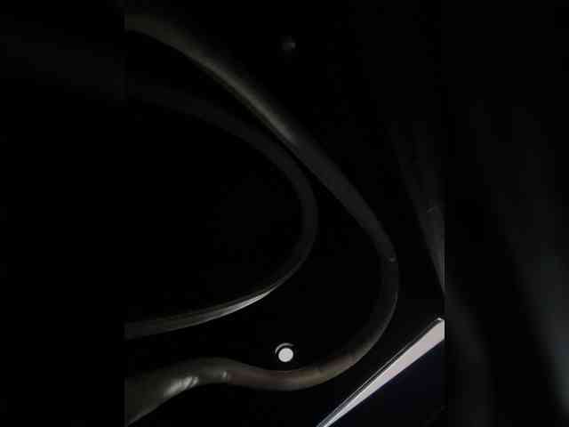 SallyeLeins webcam