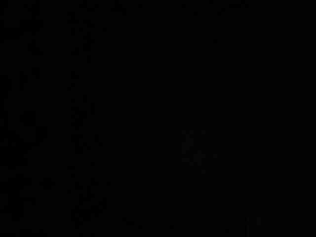 SallyeLeins SallyeLeins