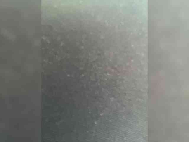 cam chat porn SallyeLeins