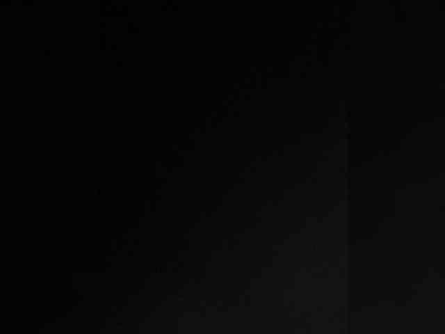 SallyeLeins SallyeLeins