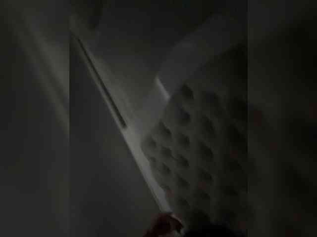 SallyeLeins SallyeLeins