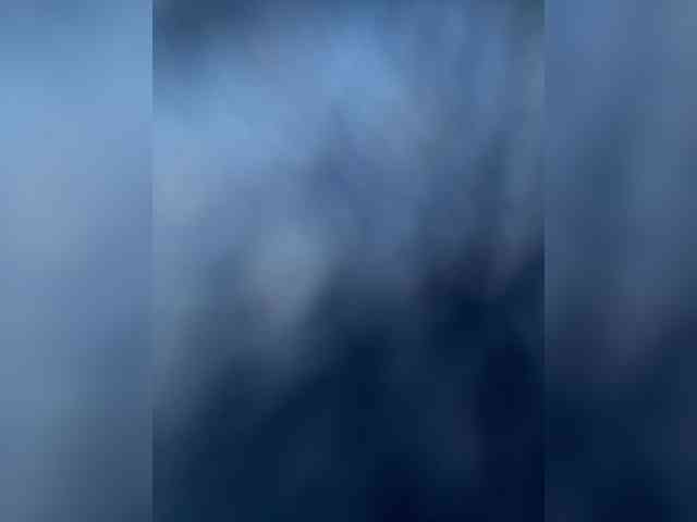 SallyeLeins's webcam live show