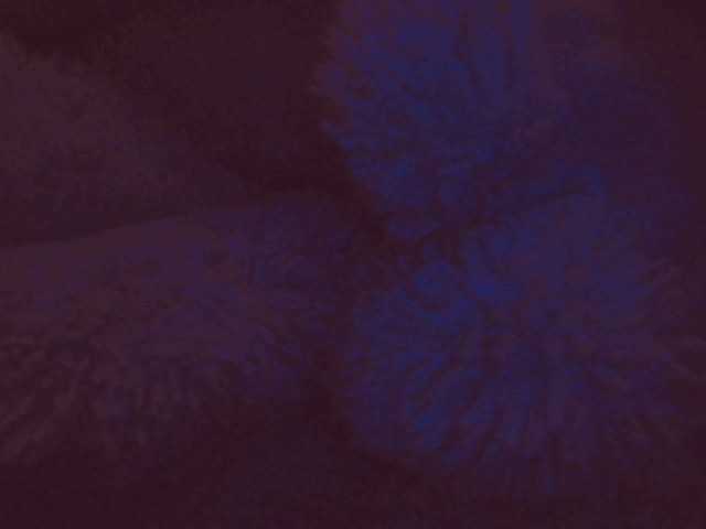 belleblondx cam belle