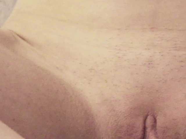 andreelis live sex show