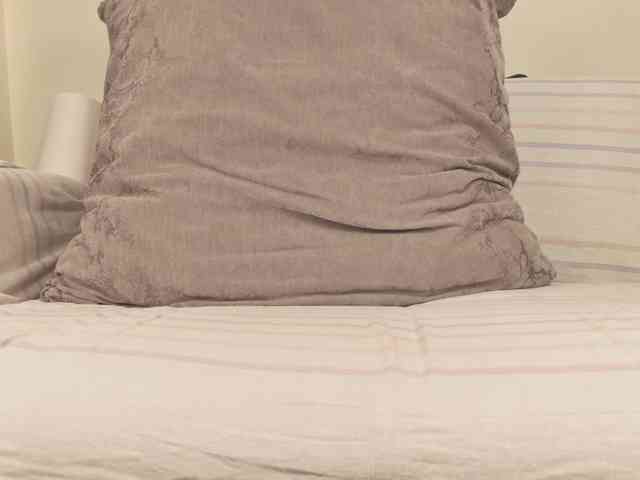 YourBaby_ webcam