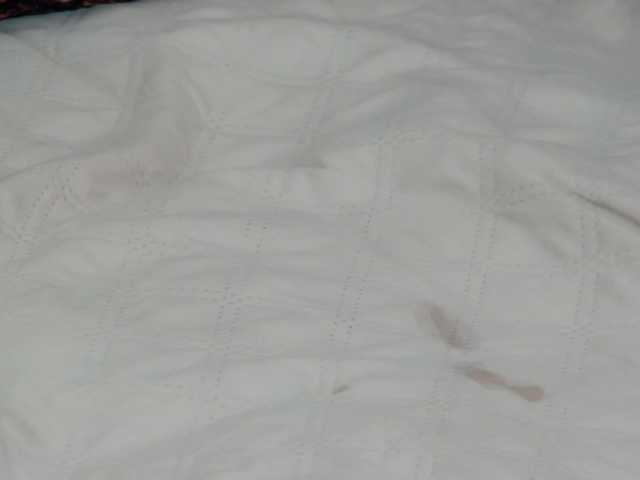 IvettaShine's BongaCams show and profile