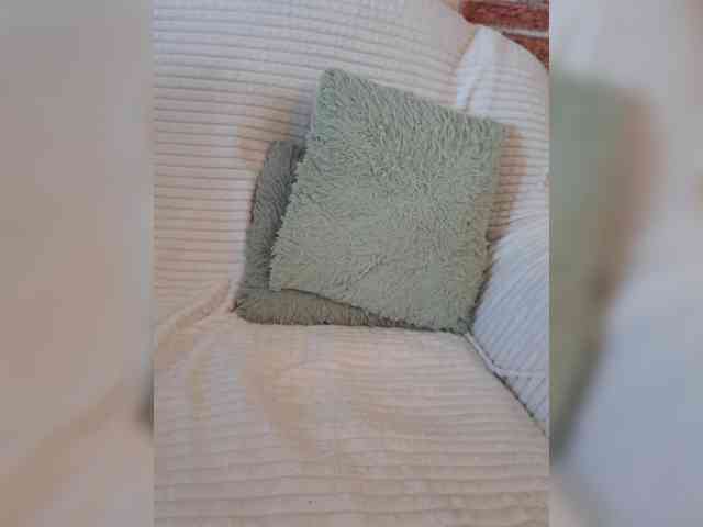 -Miila- webcam