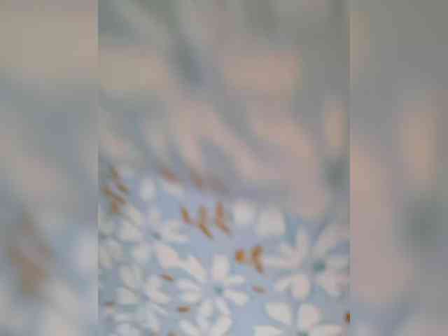 -Miila- webcam
