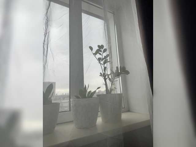 Marsellyna's BongaCams show and profile