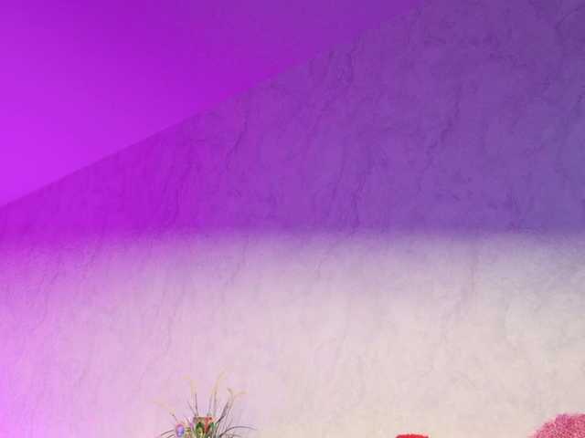 ladybigsmile's BongaCams show and profile