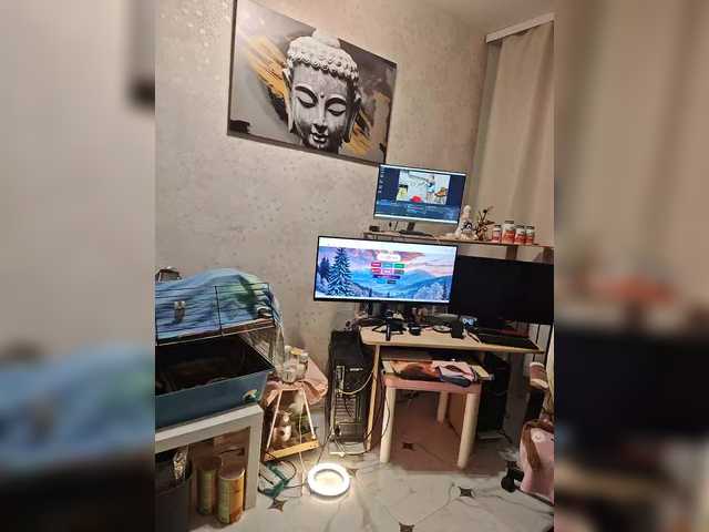 ladybigsmile's BongaCams show and profile