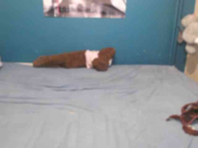 NADINNNE webcam