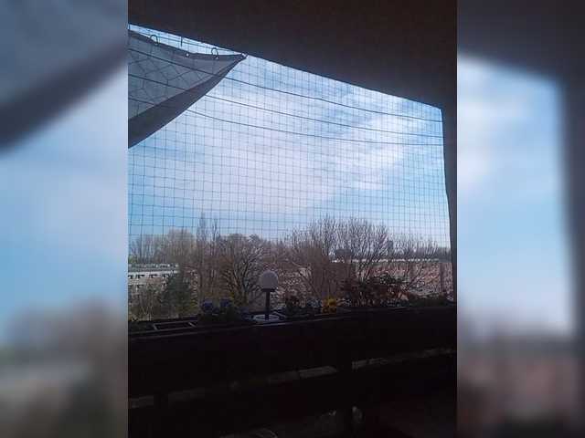 loriktwinss's BongaCams show and profile