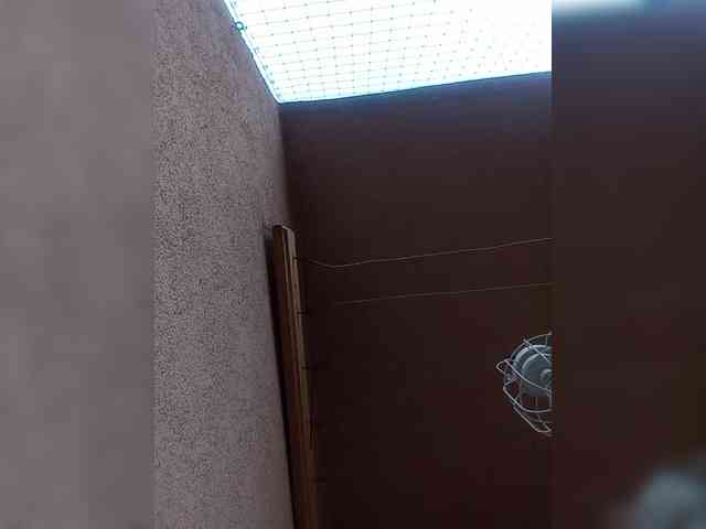 VolshEbnutaya_001 webcam