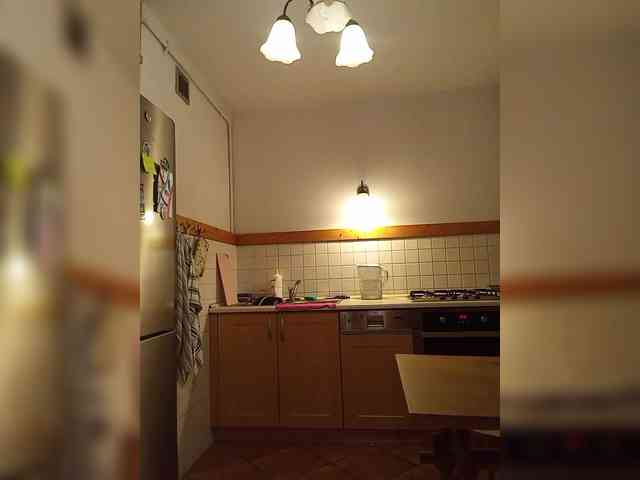 VolshEbnutaya_001 webcam